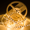 Cinta Led - 3528 luz Blanca 5mts 12V x 600 LED - Imagen 2