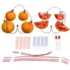 Kit de Generación de Energía con Frutas 
