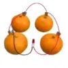 Kit de Generación de Energía con Frutas  - Imagen 2