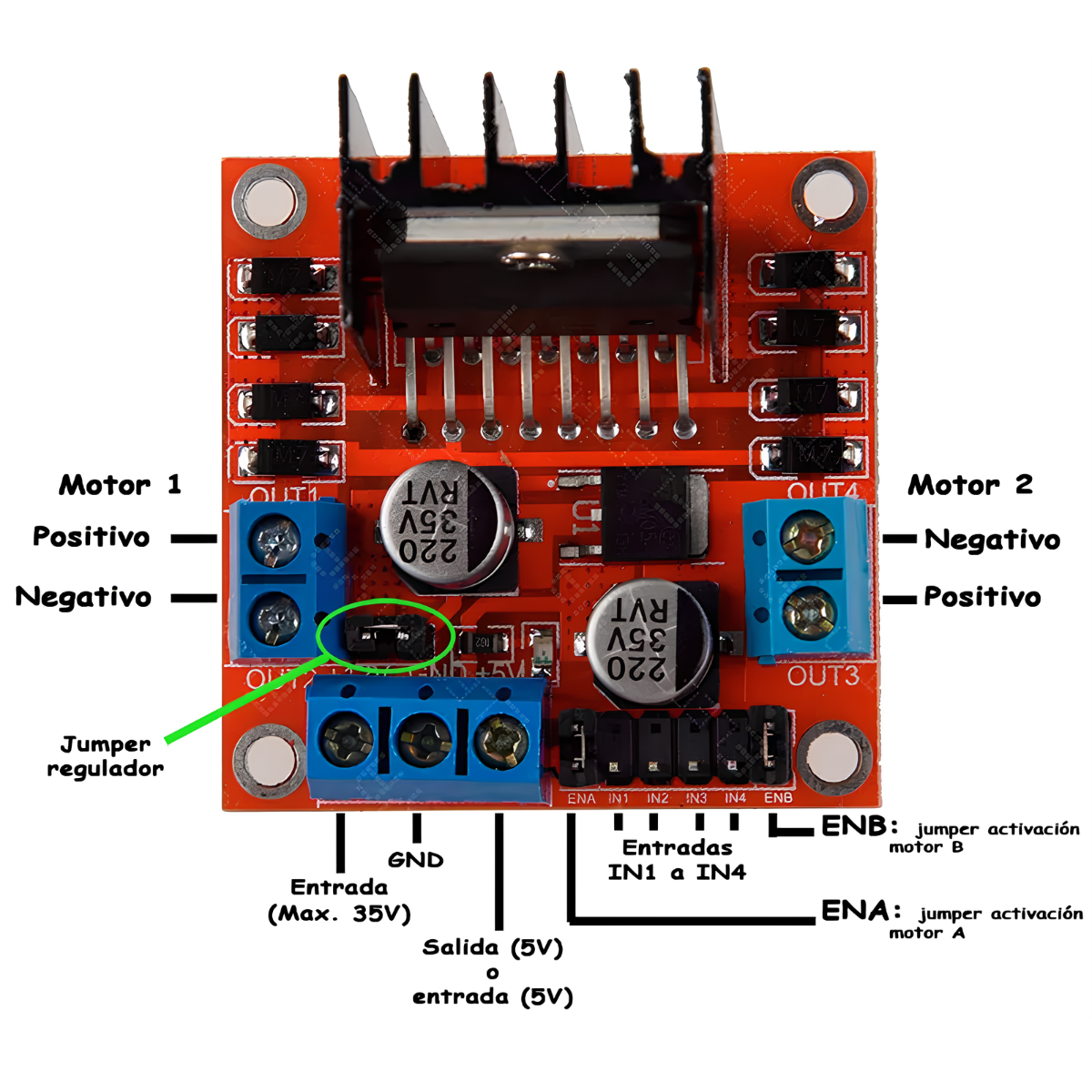Módulo Driver L298N Puente H