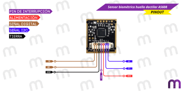 Sensor biométrico huella dactilar AS608 - Imagen 4