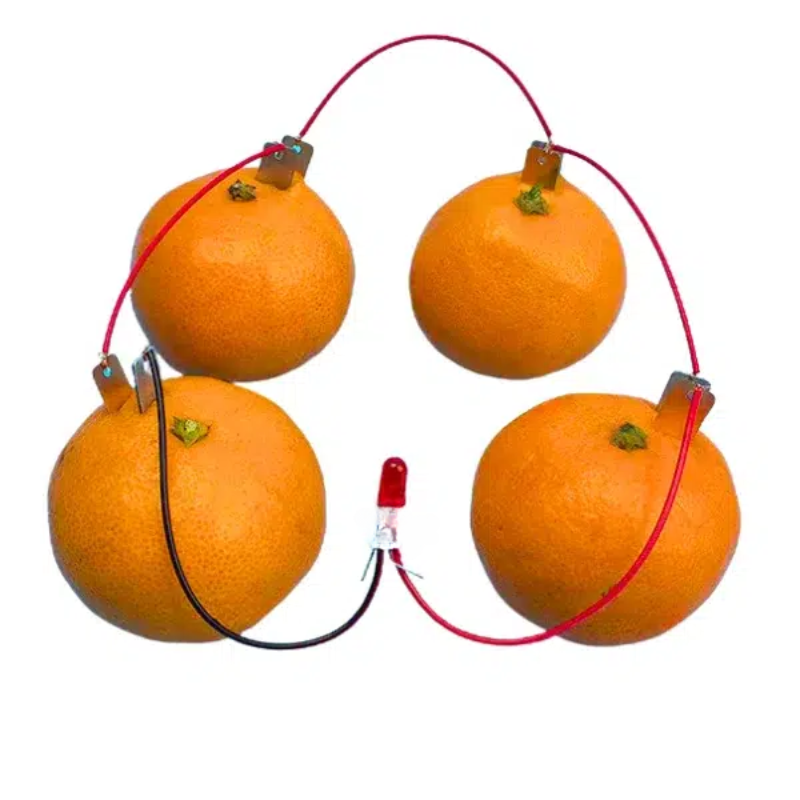 Kit de Generación de Energía con Frutas MechatronicStore Kit de Generación de Energía con Frutas - Imagen 4