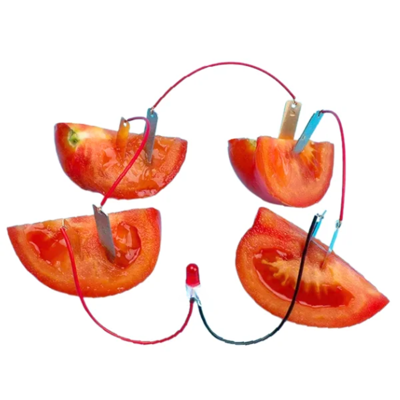 Kit de Generación de Energía con Frutas MechatronicStore Kit de Generación de Energía con Frutas - Imagen 3