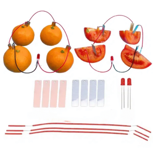Kit de Generación de Energía con Frutas 